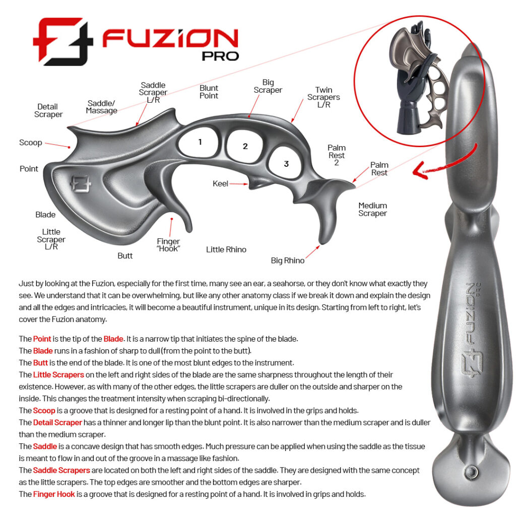 Fuzion Therapy Fuzion Pro Infographic